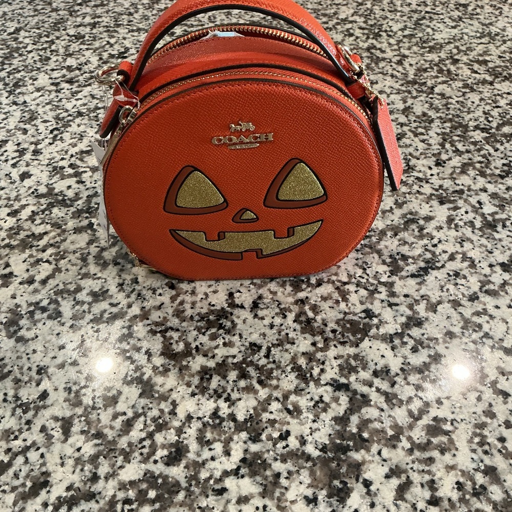 Coach Orange Mini Bag with Pumpkin Design